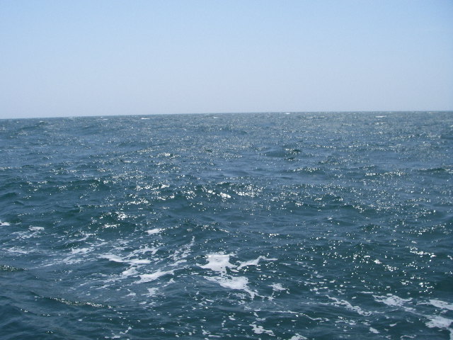 IMGP0216.jpg