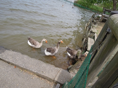 20120528-05.jpg