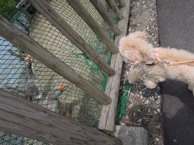 20120528-08.jpg