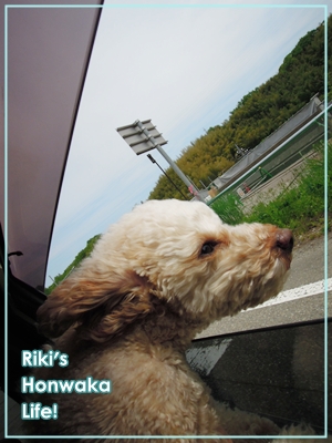20120528-11.jpg