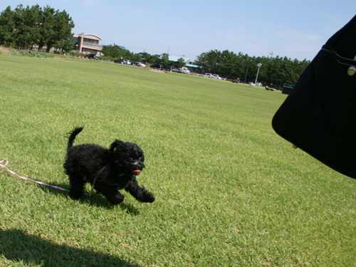 20121004-05.jpg