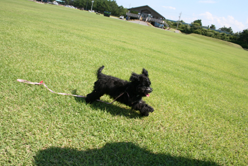 20121004-06.jpg