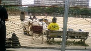 2012052015350001.jpg