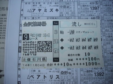 IMGP9235a.jpg