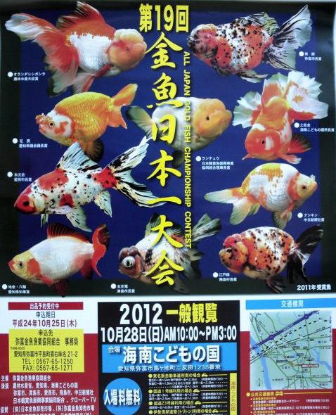 2012 金魚日本一大会