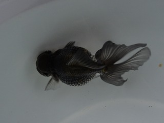 20121028_7540.jpg
