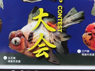 20121028_7568.jpg