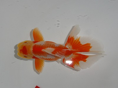 20121028_7651.jpg