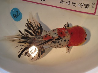 20121028_7905.jpg
