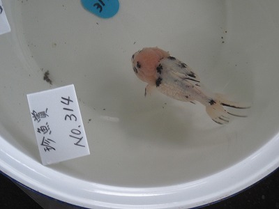 20121028_8008.jpg