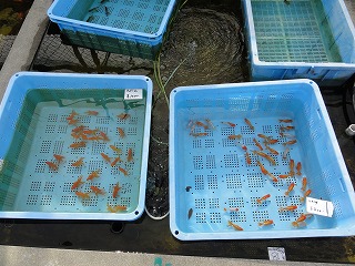 20121202_8678.jpg