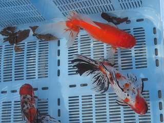 20121202_8679.jpg
