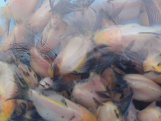 20121202_8680.jpg