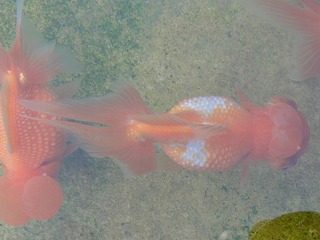 20121202_8700.jpg
