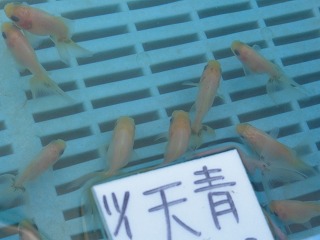 20121202_8716.jpg
