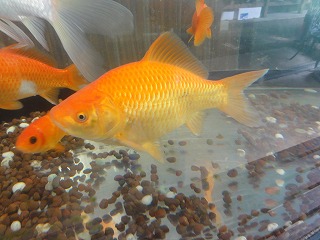 20121202_8747.jpg