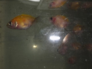 20121204_8815.jpg