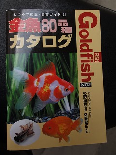 s-DSC05064.jpg
