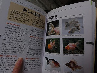 s-DSC05065.jpg