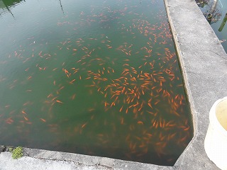 s20121202_8594.jpg