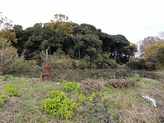 s20121202_8760.jpg