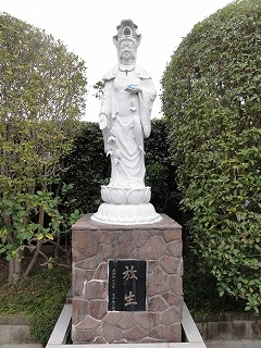 s20121202_8780.jpg