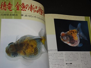 s20121212_8858.jpg