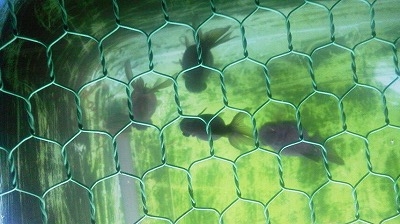 s20121215S.jpg