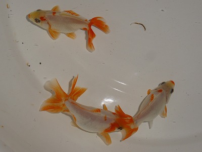 s20121224_9048.jpg
