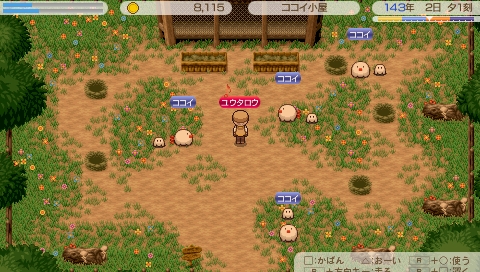 ココイたちのお世話も