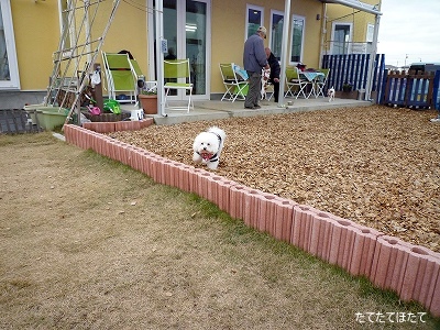 P1140836文字入り