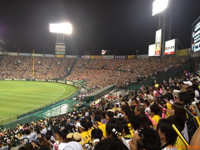 写真 (7)