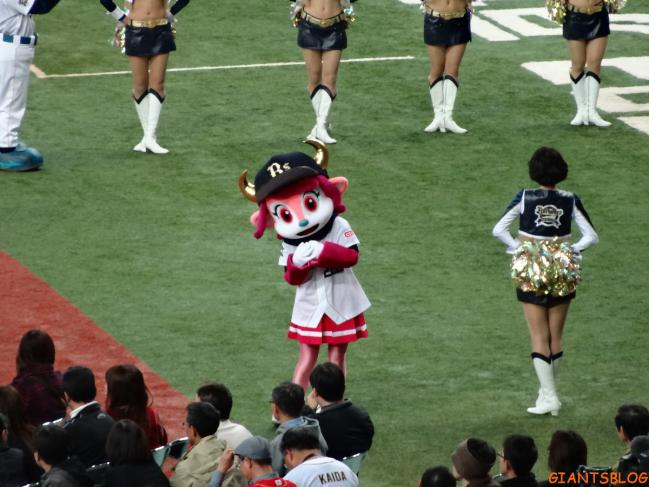 DSC06033.jpg
