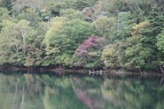 121006-4.jpg