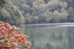 121006-5.jpg