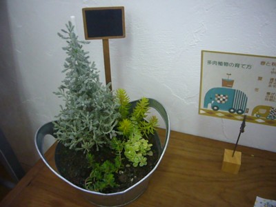 P1110150.jpg