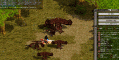 ee.gif