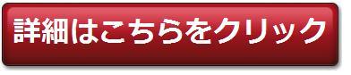 詳細