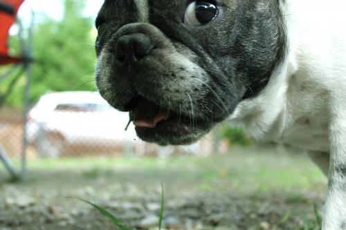 IMG_1177_convert_20120917181902.jpg