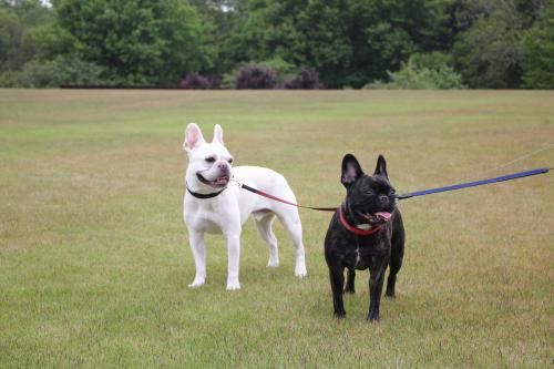 IMG_9390_convert_20120521203247.jpg