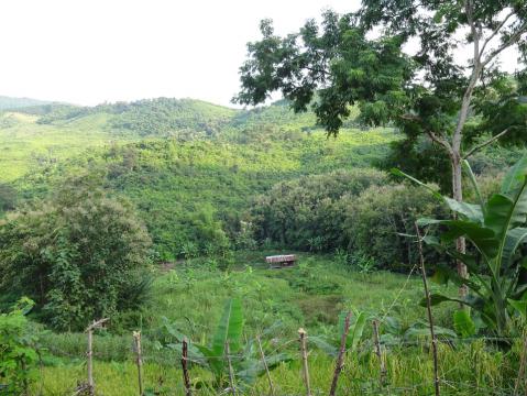 DSC00316.jpg