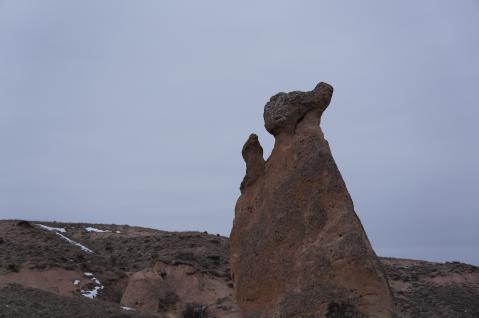 DSC00515.jpg