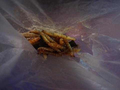 DSC00614.jpg