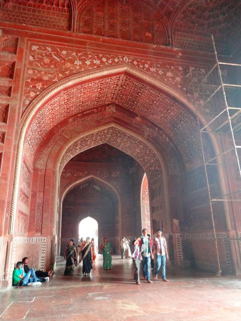 DSC00924.jpg