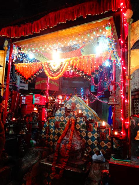 DSC01185.jpg
