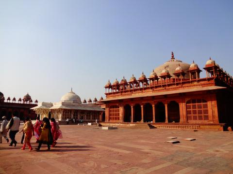 DSC01295.jpg