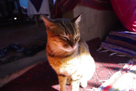 _IGP1357.jpg