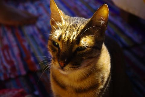 _IGP1364.jpg