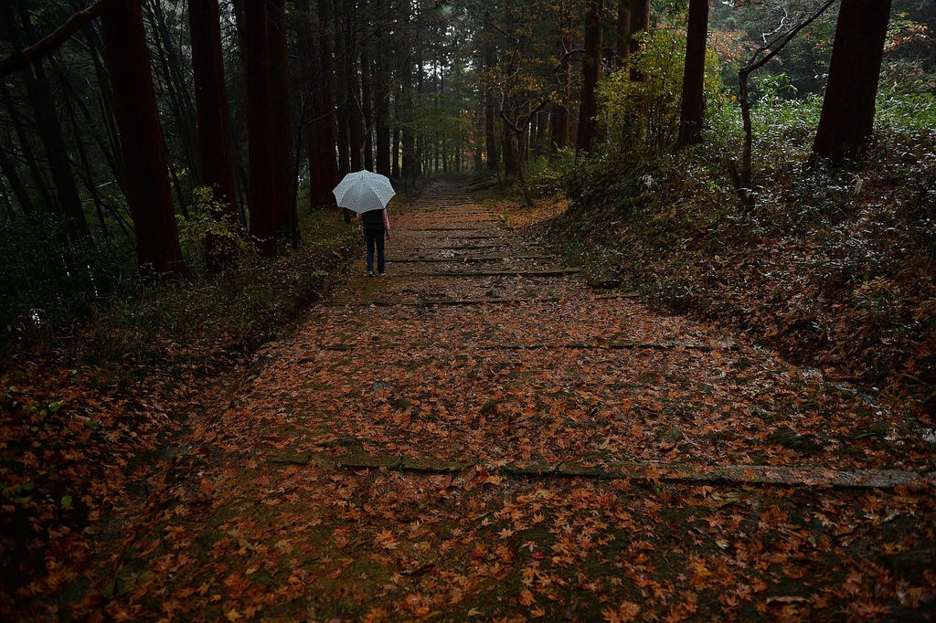 如法寺参道