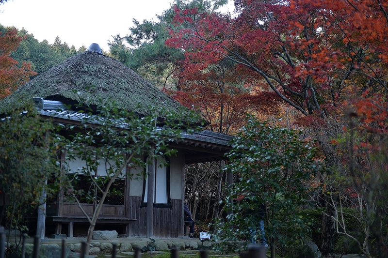 慈眼寺(新居浜市)